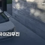 카니발 하이리무진 9인승 | 버스전용차로는 6명부터, 하이루프와 1,100만원 차이 carnival-hi-limousine-9seater-thumbe