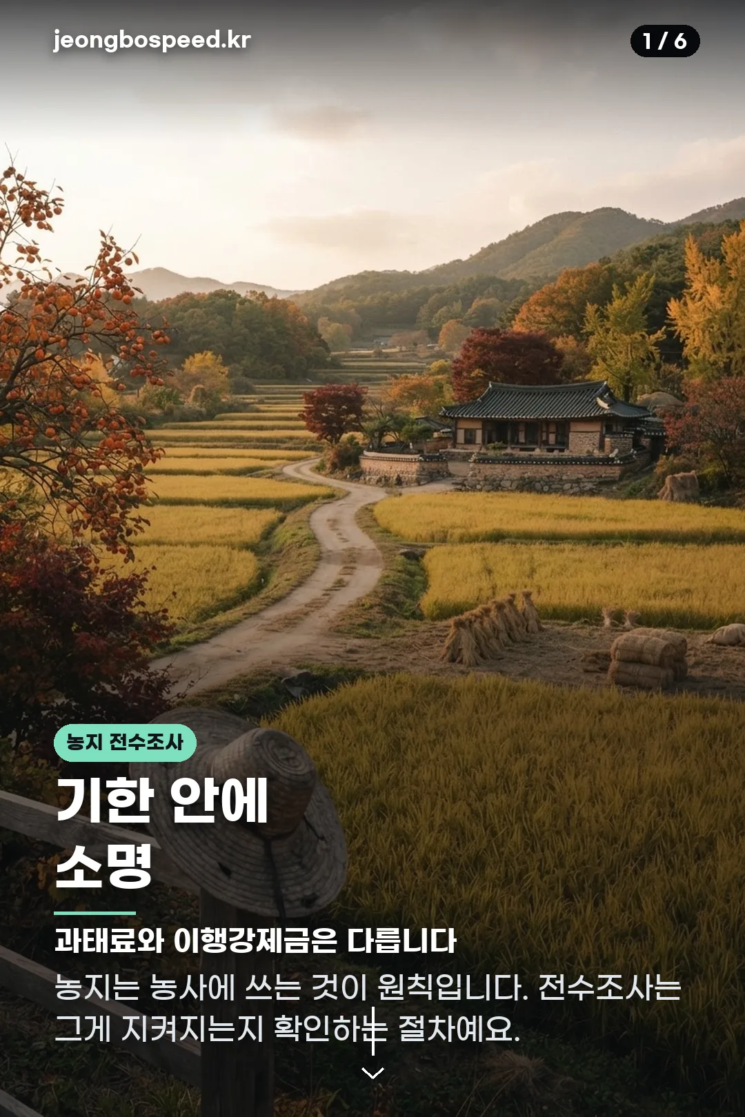 농지 전수조사 과태료 카드뉴스 1