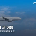 trinity-air-rebrand-guide-thumbc